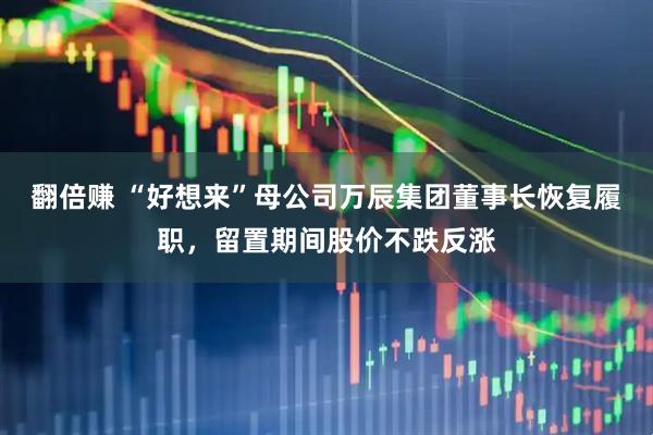 翻倍赚 “好想来”母公司万辰集团董事长恢复履职，留置期间股价不跌反涨