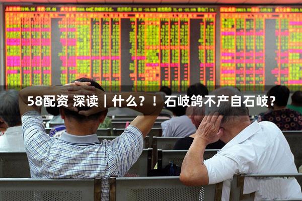 58配资 深读｜什么？！石岐鸽不产自石岐？