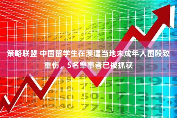 策略联盟 中国留学生在澳遭当地未成年人围殴致重伤，5名肇事者已被抓获