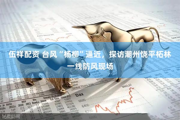 伍祥配资 台风“杨柳”逼近，探访潮州饶平柘林一线防风现场
