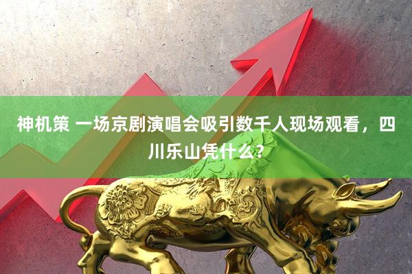 神机策 一场京剧演唱会吸引数千人现场观看，四川乐山凭什么？