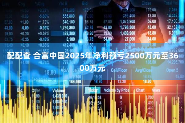 配配查 合富中国2025年净利预亏2500万元至3600万元